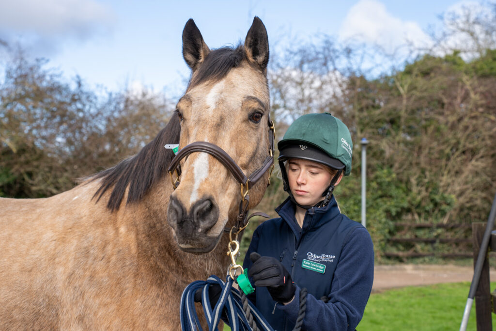Chine House Equine Hospital (Web) 122